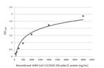 SARS-CoV-2 Spike Protein S1 Antibody in ELISA (ELISA)