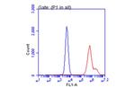 SARS-CoV-2 Spike Protein S1 Antibody in Flow Cytometry (Flow)