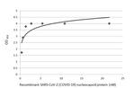 SARS-CoV-2 Nucleocapsid Antibody in ELISA (ELISA)