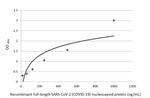 SARS-CoV-2 Nucleocapsid Antibody in ELISA (ELISA)