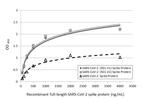 SARS-CoV-2 Spike Protein S2 Antibody in ELISA (ELISA)