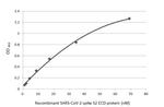 SARS-CoV-2 Spike Protein S2 Antibody in ELISA (ELISA)