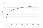 SARS-CoV-2 Nucleocapsid Antibody in ELISA (ELISA)