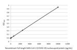 SARS-CoV-2 Nucleocapsid Antibody in ELISA (ELISA)