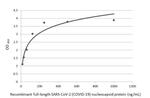 SARS-CoV-2 Nucleocapsid Antibody in ELISA (ELISA)