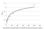 SARS-CoV-2 Nucleocapsid Antibody in ELISA (ELISA)