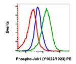 Phospho-Jak1 (Tyr1022, Tyr1023) Antibody in Flow Cytometry (Flow)