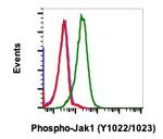 Phospho-Jak1 (Tyr1022, Tyr1023) Antibody in Flow Cytometry (Flow)