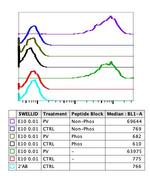 Phospho-Jak3 (Tyr980, Tyr981) Antibody in Flow Cytometry (Flow)