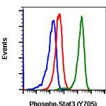 Phospho-Stat3 (Tyr705) Antibody in Flow Cytometry (Flow)