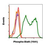 Phospho-Stat6 (Tyr641) Antibody in Flow Cytometry (Flow)