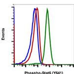 Phospho-Stat6 (Tyr641) Antibody in Flow Cytometry (Flow)