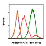 Phospho-p38 MAPK alpha (Thr180, Tyr182) Antibody in Flow Cytometry (Flow)