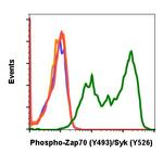 Phospho-ZAP70/Syk (Tyr493, Tyr526) Antibody in Flow Cytometry (Flow)