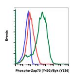 Phospho-ZAP70/Syk (Tyr493, Tyr526) Antibody in Flow Cytometry (Flow)