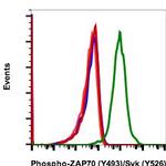 Phospho-ZAP70/Syk (Tyr493, Tyr526) Antibody in Flow Cytometry (Flow)