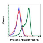 Phospho-PLCg2 (Tyr759) Antibody in Flow Cytometry (Flow)