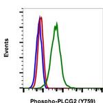 Phospho-PLCg2 (Tyr759) Antibody in Flow Cytometry (Flow)