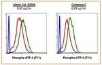 Phospho-ATF2 (Thr71) Antibody in Flow Cytometry (Flow)