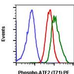 Phospho-ATF2 (Thr71) Antibody in Flow Cytometry (Flow)