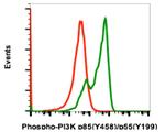 Phospho-PI3K p85/p55 (Tyr458, Tyr199) Antibody in Flow Cytometry (Flow)