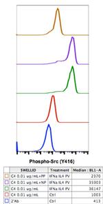 Phospho-Src (Tyr416) Antibody in Flow Cytometry (Flow)