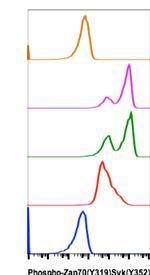 Phospho-ZAP70/Syk (Tyr319, Tyr352) Antibody in Flow Cytometry (Flow)