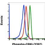 Phospho-CrkL (Tyr207) Antibody in Flow Cytometry (Flow)