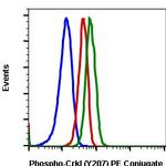 Phospho-CrkL (Tyr207) Antibody in Flow Cytometry (Flow)