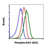 Phospho-Ask1 (Ser83) Antibody in Flow Cytometry (Flow)