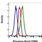 Phospho-Shp2 (Tyr580) Antibody in Flow Cytometry (Flow)