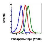 Phospho-Shp2 (Tyr580) Antibody in Flow Cytometry (Flow)
