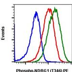 Phospho-NDRG1 (Thr346) Antibody in Flow Cytometry (Flow)