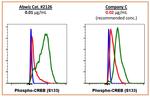 Phospho-CREB (Ser133) Antibody in Flow Cytometry (Flow)