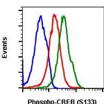 Phospho-CREB (Ser133) Antibody in Flow Cytometry (Flow)