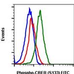 Phospho-CREB (Ser133) Antibody in Flow Cytometry (Flow)