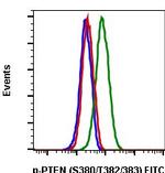 Phospho-PTEN (Ser380, Thr382, Thr383) Antibody in Flow Cytometry (Flow)