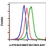 Phospho-PTEN (Ser380, Thr382, Thr383) Antibody in Flow Cytometry (Flow)