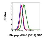 Phospho-Chk1 (Ser317) Antibody in Flow Cytometry (Flow)