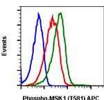 Phospho-MSK1 (Thr581) Antibody in Flow Cytometry (Flow)