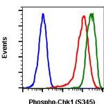 Phospho-Chk1 (Ser345) Antibody in Flow Cytometry (Flow)