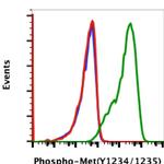 Phospho-c-Met (Tyr1234, Tyr1235) Antibody in Flow Cytometry (Flow)