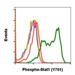 Phospho-Stat1 (Tyr701) Antibody in Flow Cytometry (Flow)