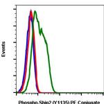 Phospho-Ship2 (Tyr1135) Antibody in Flow Cytometry (Flow)