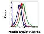 Phospho-Ship2 (Tyr1135) Antibody in Flow Cytometry (Flow)