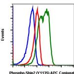 Phospho-Ship2 (Tyr1135) Antibody in Flow Cytometry (Flow)