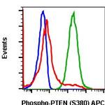 Phospho-PTEN (Ser380) Antibody in Flow Cytometry (Flow)