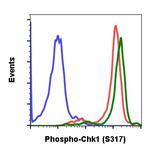 Phospho-Chk1 (Ser317) Antibody in Flow Cytometry (Flow)