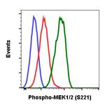 Phospho-MEK1/MEK2 (Ser221) Antibody in Flow Cytometry (Flow)