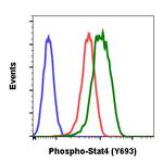 Phospho-Stat4 (Tyr693) Antibody in Flow Cytometry (Flow)